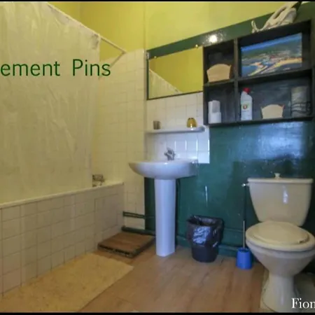 Gites Ecologiques Oasis Apartment Lesparre-Medoc
